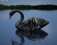 Black Swan Low Poly 3D модель