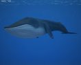 Blue whale Low Poly Modello 3D