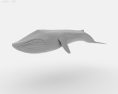 Blue whale Low Poly 3D модель