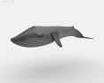 Blue whale Low Poly 3d model