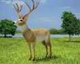 Deer Low Poly 3D-Modell