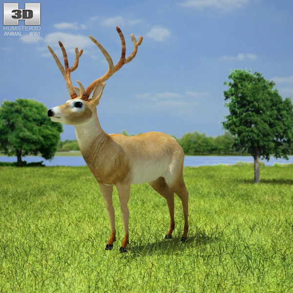 Deer Low Poly Modèle 3D
