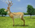 Deer Low Poly 3Dモデル