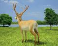 Deer Low Poly 3D 모델 