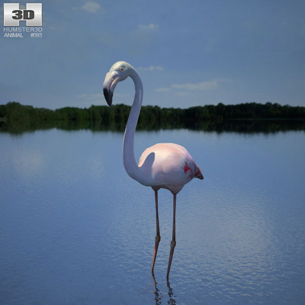Flamingo Low Poly 3D model