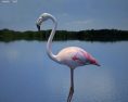 Flamingo Low Poly Modelo 3D