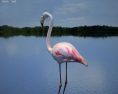 Flamingo Low Poly Modèle 3d