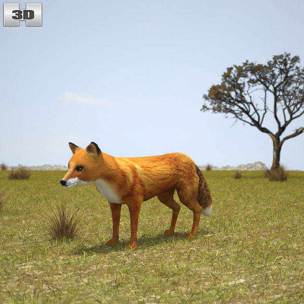 Fox Low Poly Modello 3D