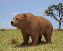 Grizzly Bear Low Poly Modelo 3d