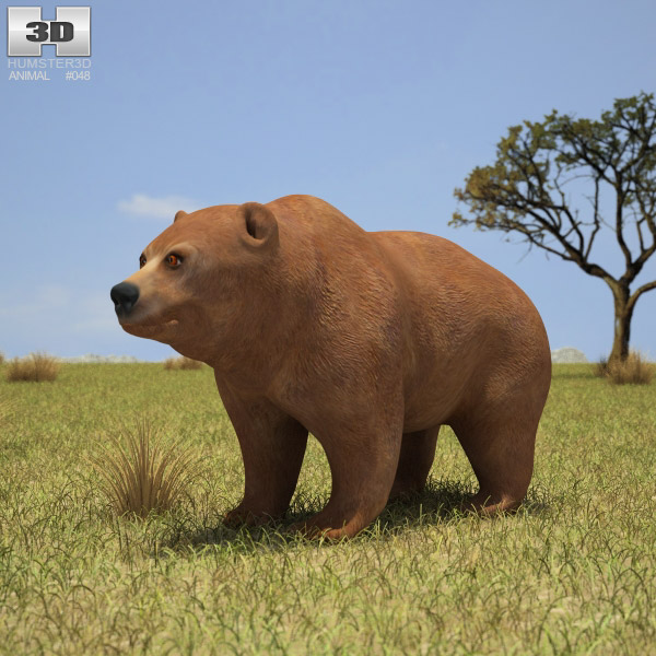 Grizzly Bear Low Poly 3D模型