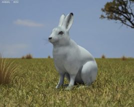 Hare Low Poly 3D модель