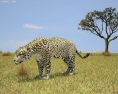 Jaguar Low Poly 3D 모델 