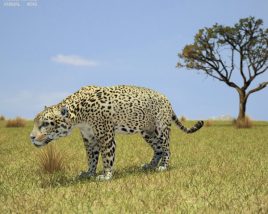 Jaguar Low Poly 3D model