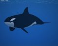 Killer whale Low Poly 3D модель