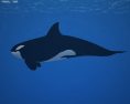 Killer whale Low Poly 3D-Modell