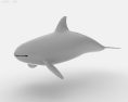 Killer whale Low Poly 3d model