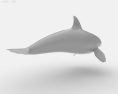 Killer whale Low Poly 3D模型