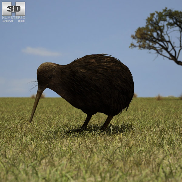 Kiwi Low Poly Modello 3D