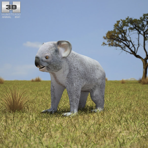 Koala Low Poly Modèle 3D