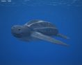 Leatherback Sea Turtle Low Poly 3Dモデル
