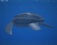 Leatherback Sea Turtle Low Poly Modèle 3d