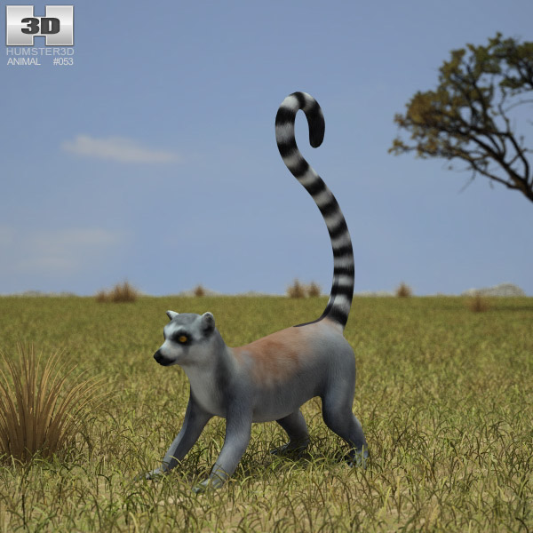 Lemur Low Poly Modelo 3D
