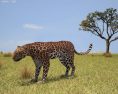 Leopard Low Poly Modelo 3D