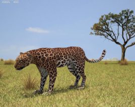 Leopard Low Poly Modèle 3D