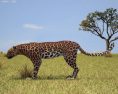 Leopard Low Poly 3D 모델 