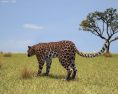 Leopard Low Poly 3D 모델 