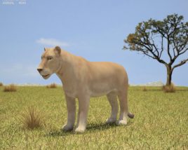 Lioness Low Poly 3D model