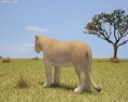 Lioness Low Poly 3d model