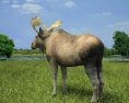 Moose Low Poly 3D模型