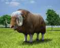 Muskox Low Poly Modello 3D