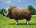 Muskox Low Poly Modello 3D