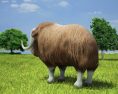 Muskox Low Poly 3D 모델 