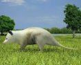 Opossum Low Poly 3D 모델 