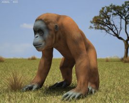 Orangutan Low Poly 3D модель