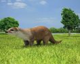 Otter Low Poly 3D-Modell