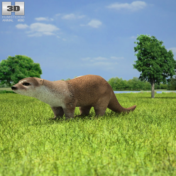 Otter Low Poly 3D模型