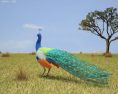 Peacock Low Poly 3D 모델 