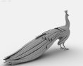Peacock Low Poly 3D-Modell