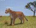 Puma Low Poly Modelo 3D