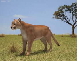Puma Low Poly Modello 3D