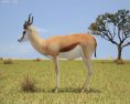 Springbok Low Poly Modelo 3D