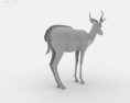 Springbok Low Poly 3D模型