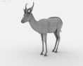 Springbok Low Poly 3D-Modell