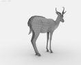 Springbok Low Poly 3D модель