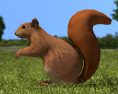 Squirrel Low Poly Modèle 3d