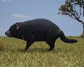 Tasmanian devil Low Poly 3D модель